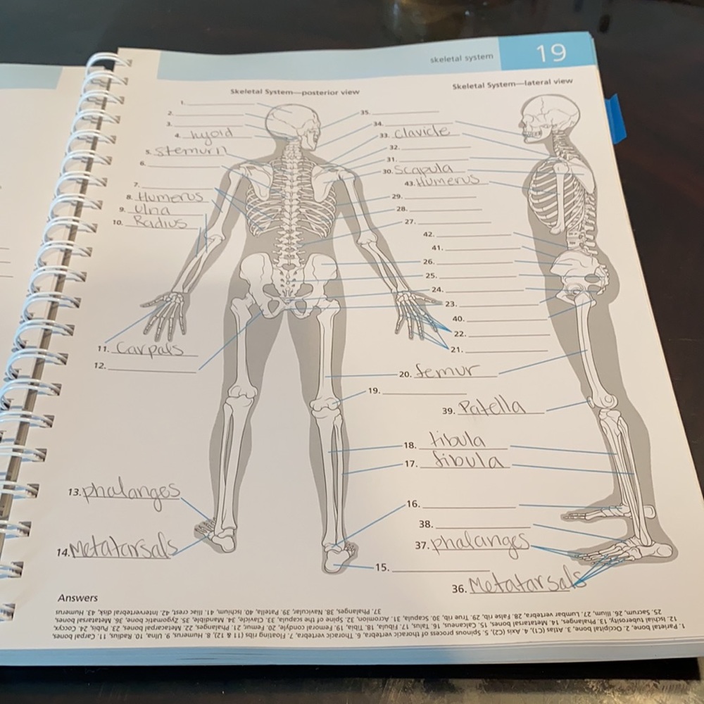 Anatomy practice book - Picture 8 of 13